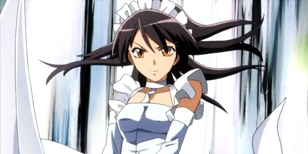 Ouran High School Club amfitrió vs. Maid Sama !: Quin és el millor anime romàntic?