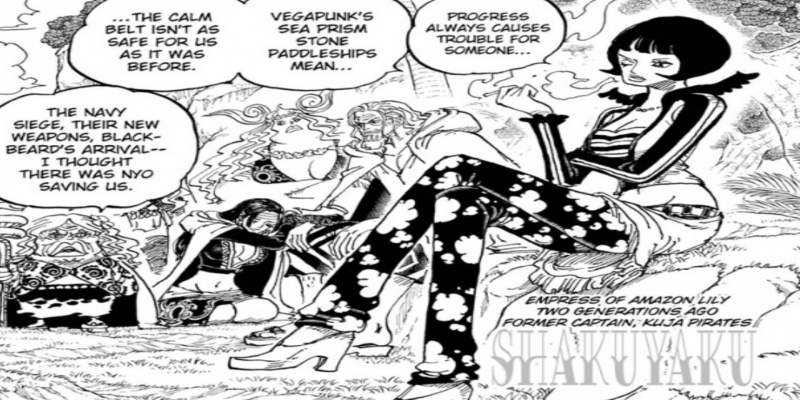 One Piece: Shakkys fortid blev varslet før kapitel 1059