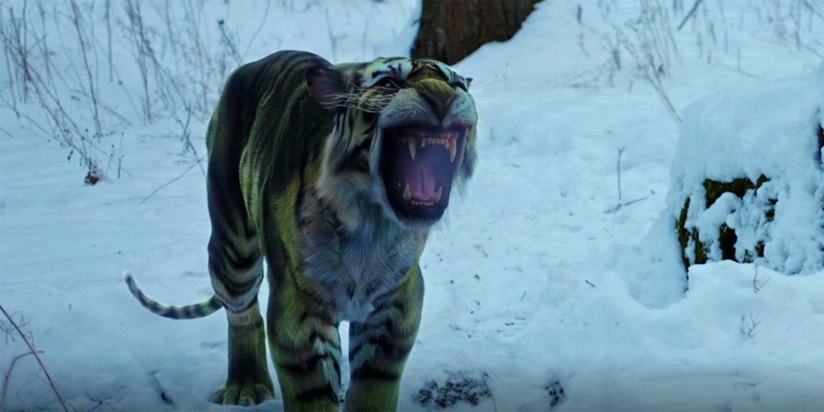 Titans objašnjava zašto se Beast Boy samo mijenja u tigra (do sada)