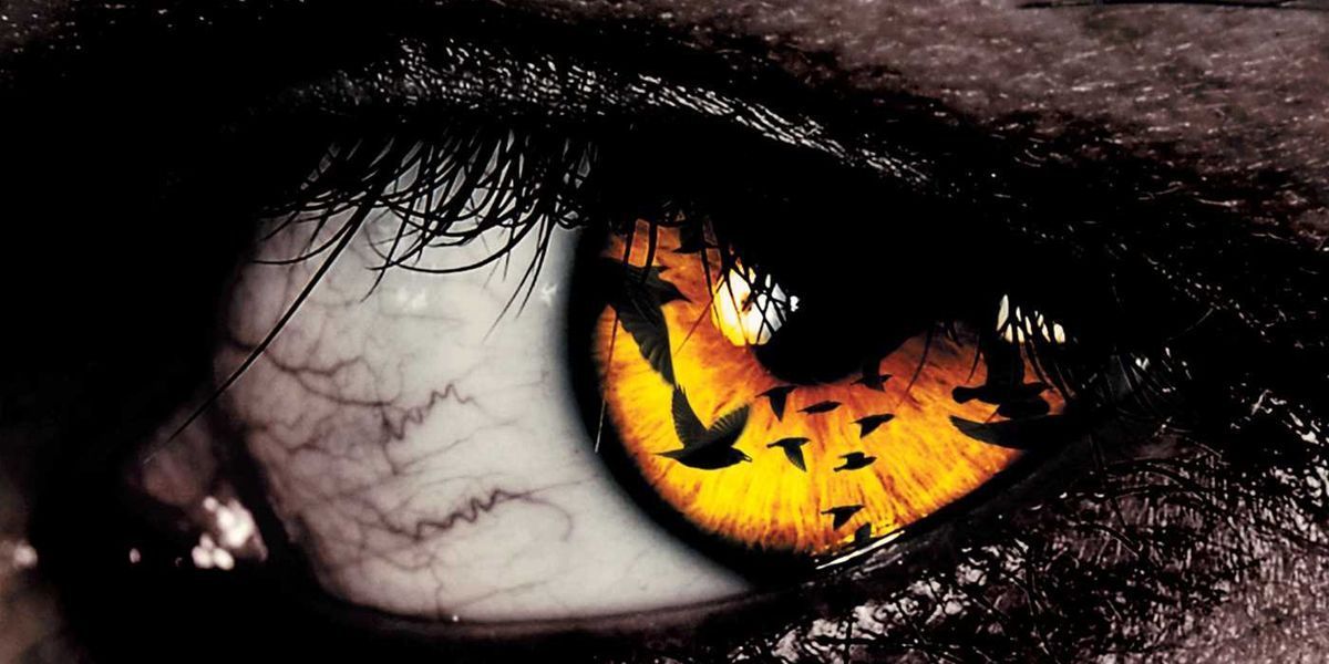 15 novel·les de Stephen King més aterradores de la història, classificades