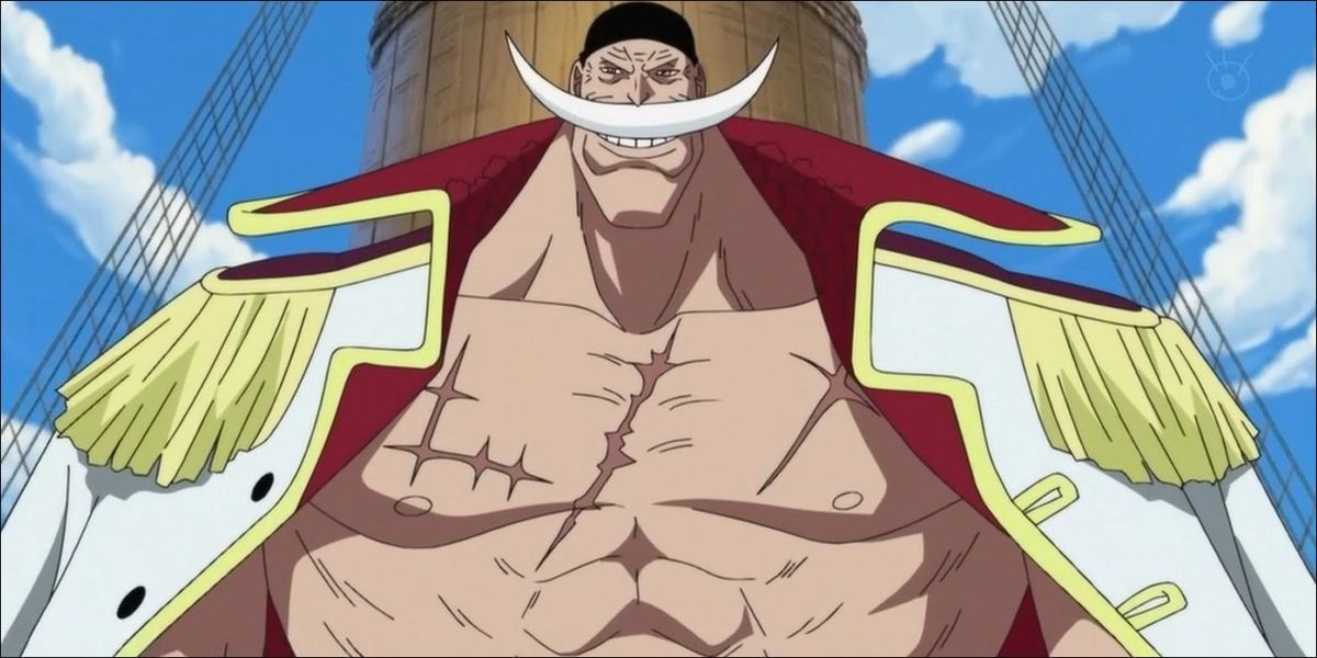 One Piece : 10 Différences Entre L'Anime Et Le Manga