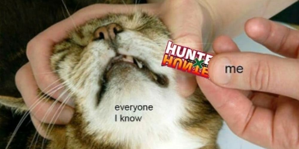 10 veselých Hunter x Hunter Memes Praví fanoušci budou milovat