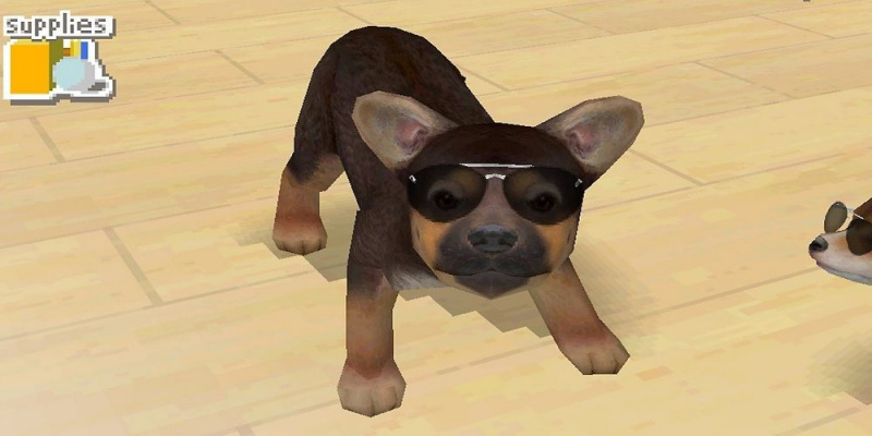   สุนัขสวมแว่นกันแดดใน Nintendogs