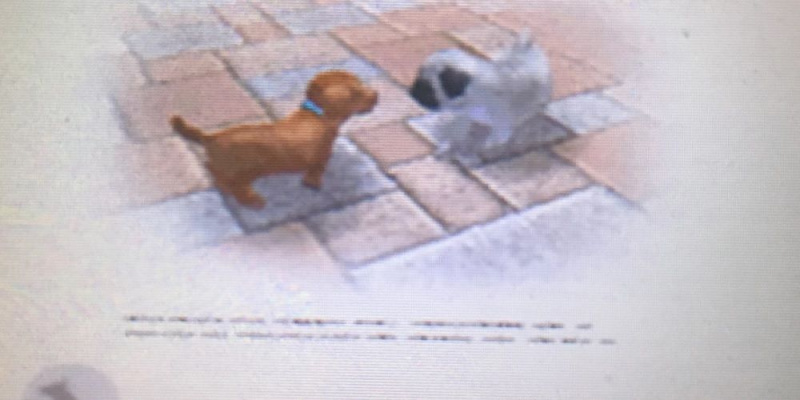  Kaks koera suhtlemas Nintendogi Bark Mode brošüürist