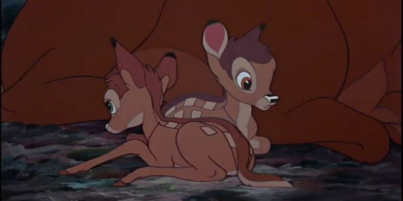   بامبی's twin fawns in the Disney movie
