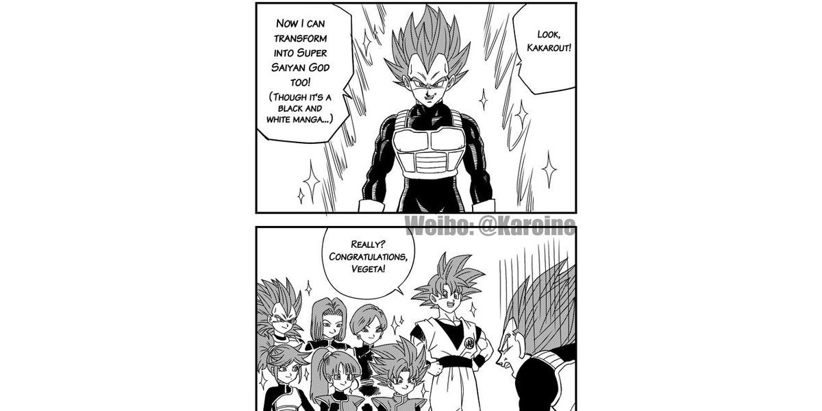 10 Super Saiyan God Vegeta Memes saprot tikai Dragon Ball super fani