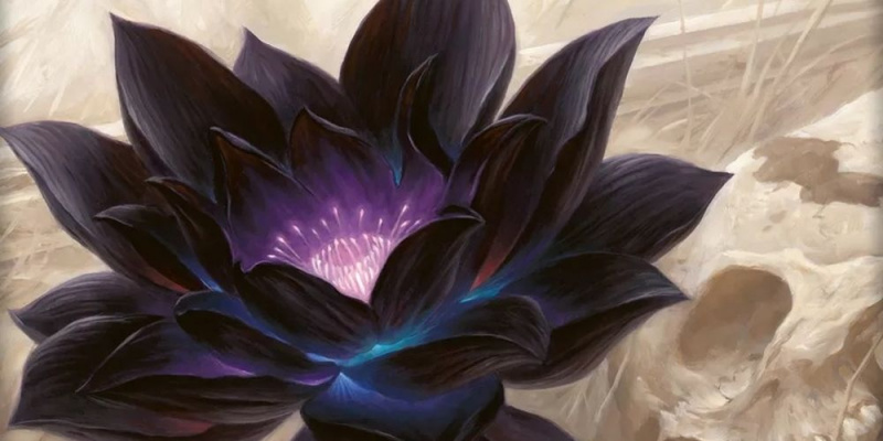   Ảnh minh họa về lá bài Black Lotus từ Magic: The Gathering.