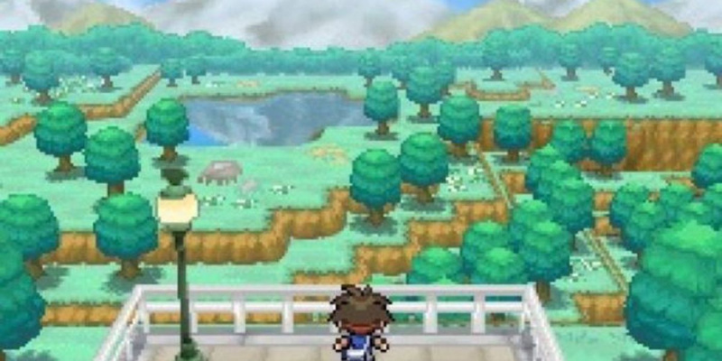   Pokemon Black-hoofdpersoon kijkt uit op landschap