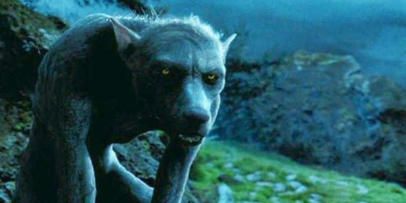   Remus Lupin sa kanyang anyo ng werewolf sa Harry Potter