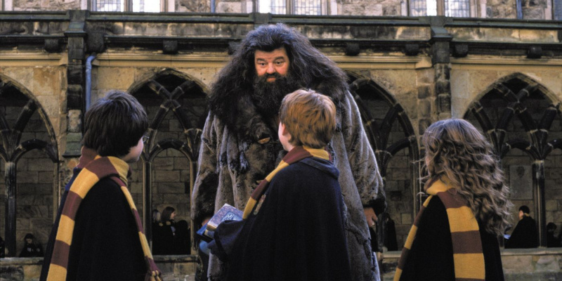   Hagrid praat met Harry, Ron en Hermelien, Harry Potter