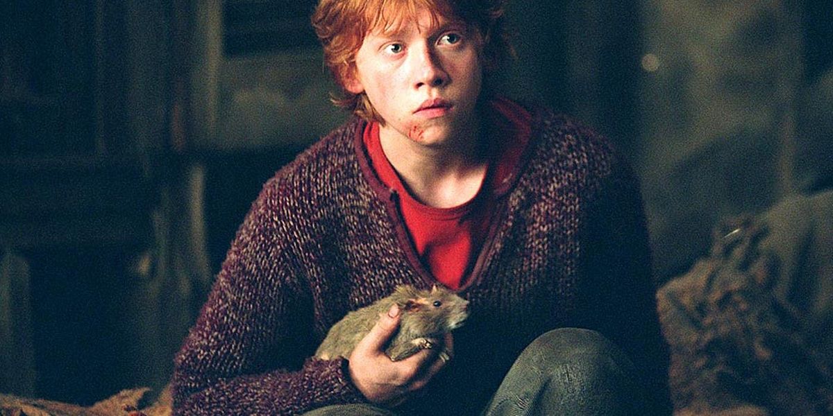 Rupert Grint viděl pouze tři filmy o Harrym Potterovi