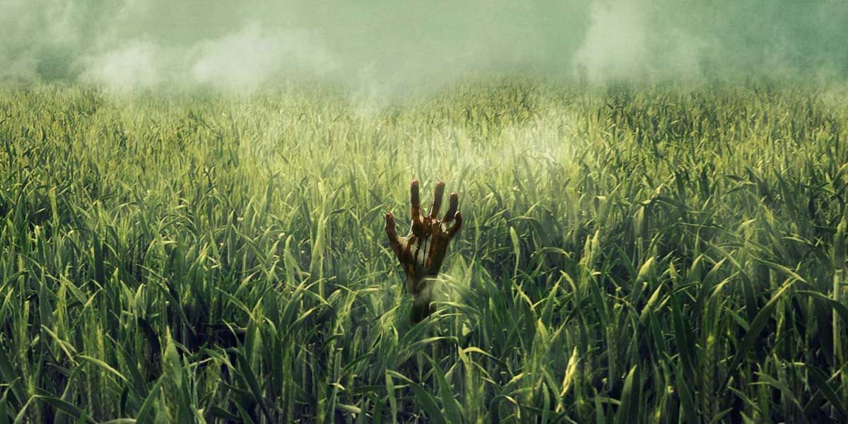 Patrick Wilson estrelará Stephen King e Joe Hill em In the Tall Grass
