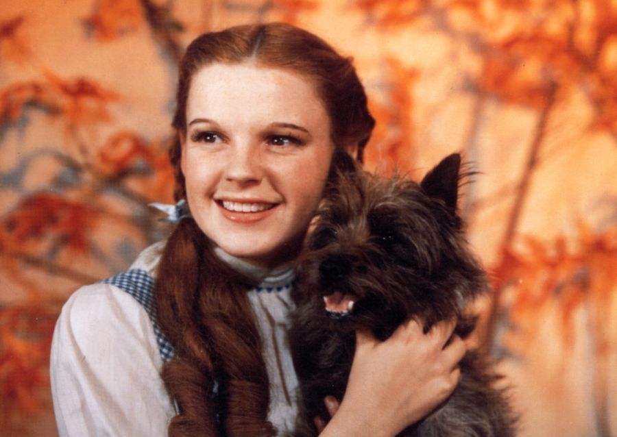 Odhalené filmové legendy Bola Judy Garland platená za „Čarodejníka z krajiny Oz“ menej ako toto?