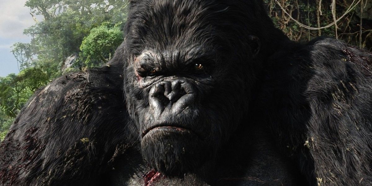 Direktor Godzilla proti Kongu je prvotno razvil nadaljevanje filma King Kong Petra Jacksona