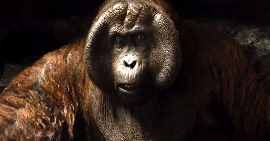 Poznaj króla Louiego Christophera Walkena w nowym klipie „Księga dżungli”'