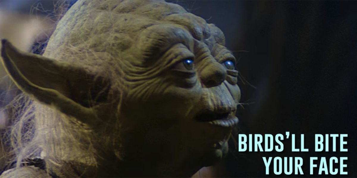 Yoda heeft echt een hekel aan zeemeeuwen in besmettelijke slechte liplezende ditty