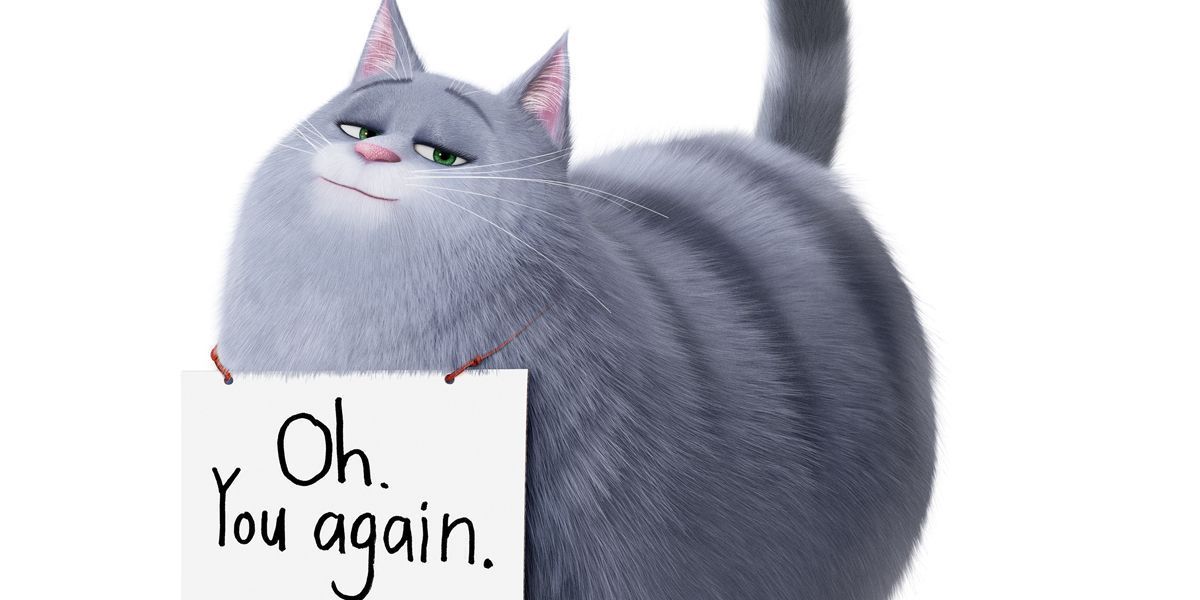 Secret Life of Pets 2 Coughs Up a Hairball With Chloe Trailer