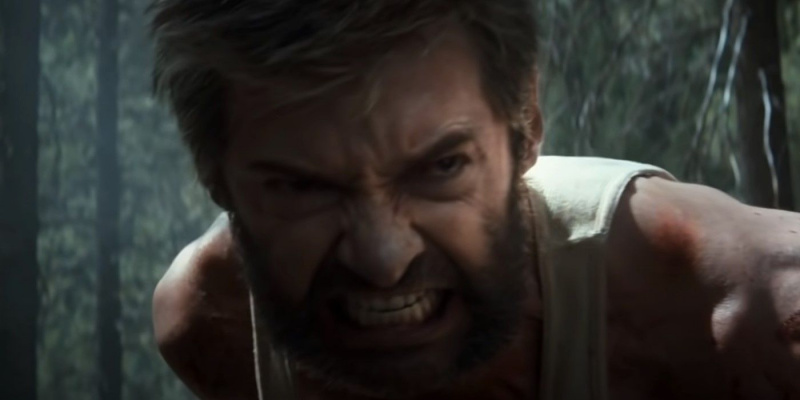   Logan beserker woede