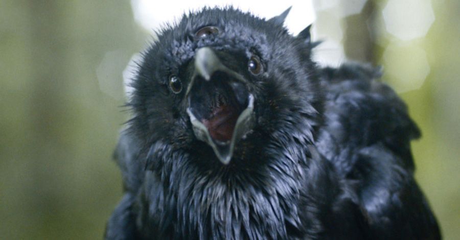 Max von Sydow, Three-Eyed Raven으로 'Game of Thrones'에 합류