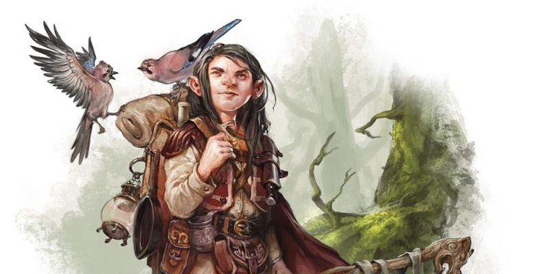   Gnome Druid ümbritsetud loomadest DnD-s